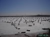 PICT0918.JPG