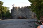 DSC_0499.JPG