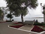 IMG_1185.JPG