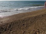 IMG_1466.JPG