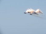 IMG_1513.JPG