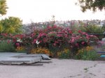 IMG_1540.JPG
