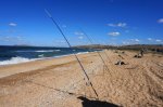 DSC09427.JPG