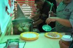 DSC09950.JPG