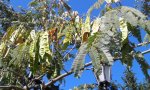 20160924_132314.jpg