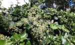 20160924_132835.jpg