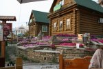 IMG_0046.JPG