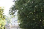 IMG_0172.JPG