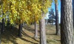 20161007_115403.jpg
