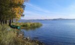 20161007_115046.jpg
