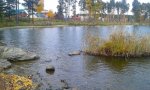 20161010_150049.jpg