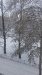 20161023_085939.jpg