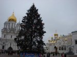 DSC05623.JPG
