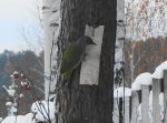 DSC00793.JPG
