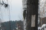 DSC00794.JPG