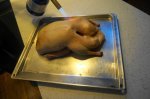DSC00855.JPG
