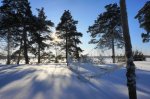 DSC00949.JPG