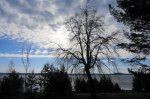 DSC02164.JPG