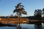 DSC02254.JPG