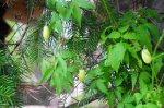 DSC03312.JPG