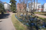 DSC02681.JPG