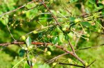 DSC03410.JPG