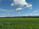IMG_20170617_103128.jpg