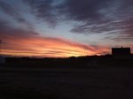 IMG_20170715_013320.jpg