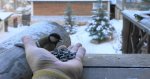 DSC04986.JPG