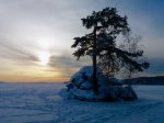20180101_122116.jpg