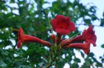DSC06529.JPG