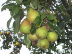 IMG_5344.JPG