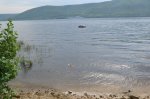 DSC_0021.JPG