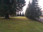 IMG_20180829_120331.jpg