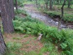 20180719_091705.jpg