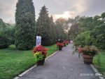 IMG_20190830_180428.jpg