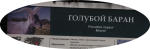 20210302_095341.png