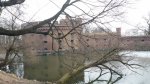 20210302_113714.jpg
