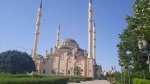 IMG_20220602_182721_1.jpg