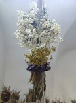 IMG_20230103_164522.jpg