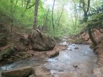 IMG_3749.JPG