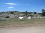 IMG_4057.JPG