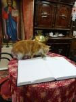 Снимок экрана 2015-12-06 в 18.26.39.png