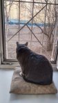 IMG_20250331_075629.jpg