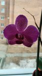IMG_20250329_090715.jpg