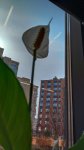 IMG_20250328_115813.jpg