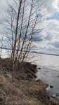 IMG_20250412_130149.jpg