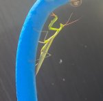 IMG_20250821_004902.jpg