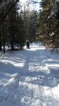 20160222_130005.jpg
