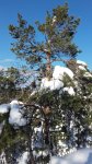 20160222_143419.jpg